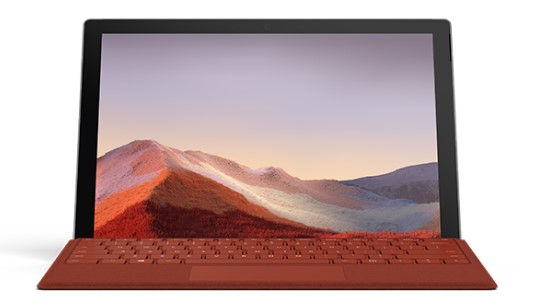 关岭清洁和维护 Surface
